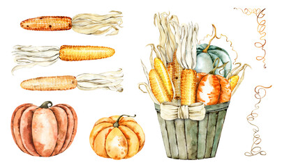 Pumpkins, corn, fall leaves  watercolor set. Hand drawn autumn, fall, thanksgiving. Natural organic vegetarian food, harvest. Fall wedding invitation, card, background, poster, banner,template, menu
