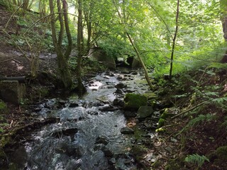 Obraz premium NatureBoy Der Blick in die Nature