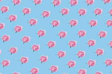 Floral visual with flowers pattern, roses frame on color background