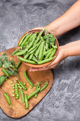 green peas, pods and peas on a loft gray background. Woman holding a bowl of green peas in her hands