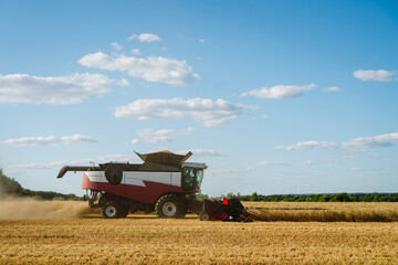 Combine harvester harvests ripe wheat. Ripe ears of gold field on the sunset cloudy orange sky background. . Concept of a rich harvest. Agriculture image