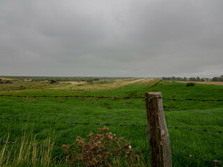 A flat landscape with green grass and a small fence in the foreground. Rainy weather. Cloudy sky. In the background fields
