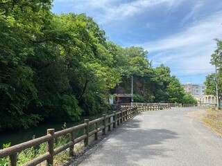 wooden bridge in the park