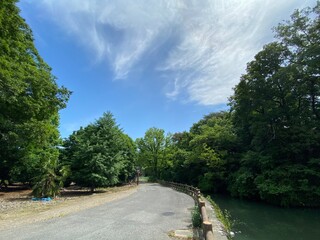 road to the park