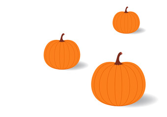 Pumpkin vector. Pumpkin on white background.