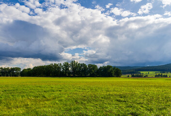 Summer meadow with trees and distant hill under cloud sky. South Czech republic landscape