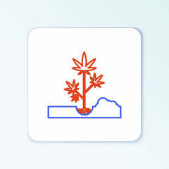Line Planting marijuana or cannabis plant in the ground icon isolated on white background. Marijuana growing concept. Hemp symbol. Colorful outline concept. Vector