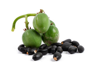 oil plant, Ricinus communis, medical plant