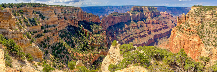 Panorama from Wedding Site Cape Royal Grand Canyon North Rim AZ