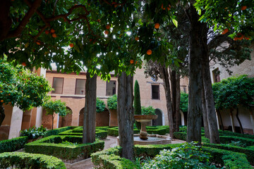 Obraz premium Patio de los Naranjos in the Alhambra in Granada in Spain