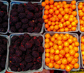 Berries and Tomatoes at the Outdoor Market