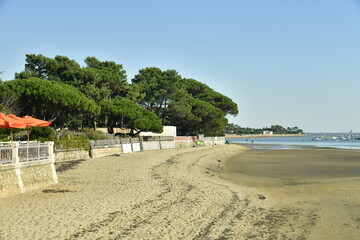 Le littoral boisé à la baie d'Arcachon à Andernos-les-Bains en Gironde