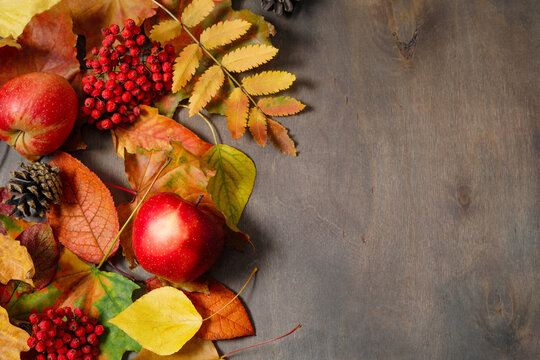 Autumn mood composition. Fallen leaves, apples, red berries, pine cones on wooden table. Happy Thanksgiving concept with autumn colorful leaves. Flat lay, top view, copy space.