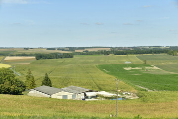 Obraz premium Champs et prairies à perte de vue entre les fermes ,bois isolés en été aux environs du Puy de Versac en Périgord Vert 