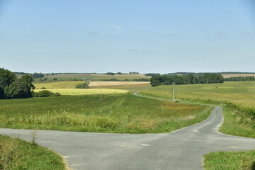 Fototapeta na wymiar Route secondaire de campagne entre champs et prairies à Champagne-et-Fontaine au Périgord Vert