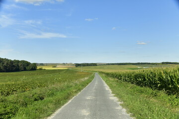 Fototapeta na wymiar Route secondaire de campagne entre champs et prairies à Champagne-et-Fontaine au Périgord Vert