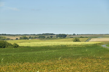 Champs et prairies à perte de vue entre les fermes ,bois isolés en été aux environs du Puy de Versac en Périgord Vert 
