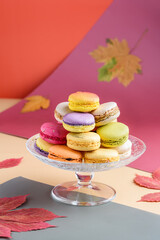 Multicolored macarons on a glass stand on colored paper backgrounds. Traditional French dessert. Food art. Autumn concept.   Creative still life