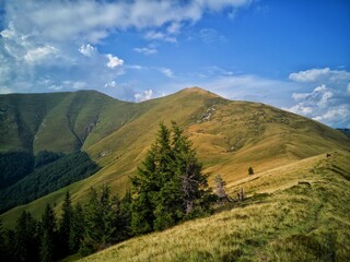Obraz premium landscape with sky