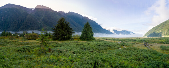 Fototapeta premium Bear river estuary at Stewart , BC, Canada and Alaska border