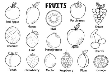 Black and white fruits collection. Healthy food isolated elements in cartoon style. Great for coloring page, recipes, cookbook. Apple, mango, kiwi, coconut and more. Vector illustration