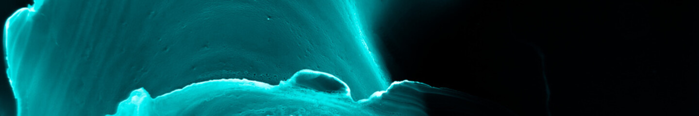 Naklejka premium Radiology Texture. Close Up Human Body Scan.