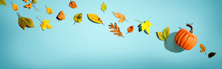 Autumn pumpkin with colorful leaves overhead view