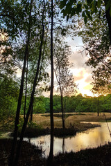scenes os the Coco Park in the city of Fortaleza Northeastern Brazil