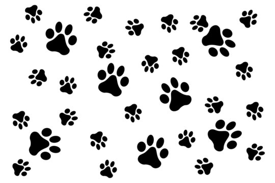 Animal footprints icon. Traces. Set of animal paws. Vector.