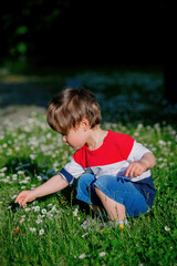 little boy playing with flowers in the meadow