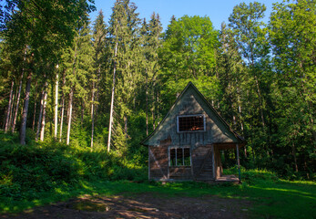 Old abandoned wooden house in green wild forest, dilapidated hut