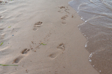 PISADAS EN ARENA DEL MAR