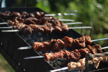 Meat on the grill