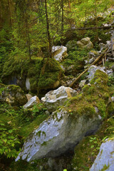 Arch on the steep wall of the karst hole Wolf pit