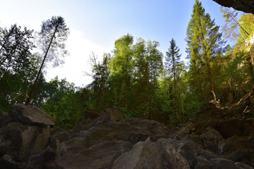 View from the very bottom of the karst hole Wolf pit