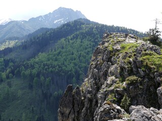 landscape with trees