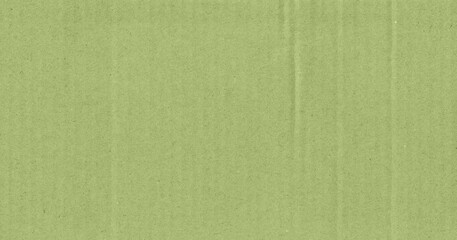 Fototapeta premium green paper texture