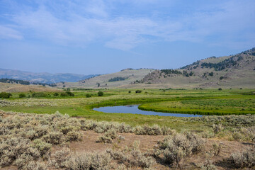 Obraz premium Slough Creek in a sagebrush landscape, Yellowstone National Park, USA 