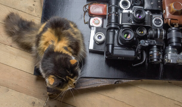 Photometer Bilder Durchsuchen 2,323 Archivfotos, und