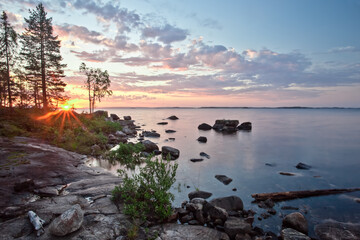 the sun shines through the fir trees in a rocky  bay with blue-pink water, scandinavia