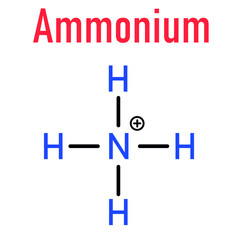 Ammonium cation skeletal formula. Protonated form of ammonia.
