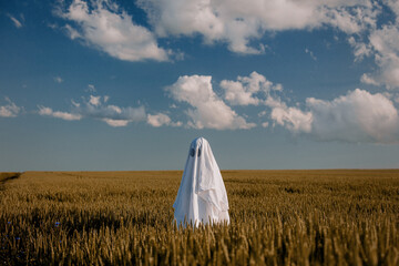 cute ghost in a bed sheet on a wheat field