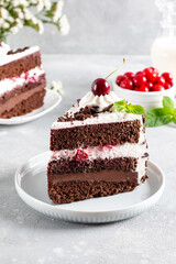 Black forest cake, Schwarzwald pie, dark chocolate and cherry dessert on a plate. Cherry cake with...