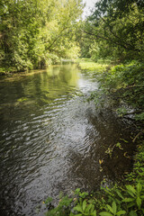 Bolshoy Chembar River in summer