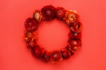 Round floral composition of red buttercup flowers on red background. Flat lay, top view. Copy space.