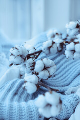 cotton in the snow