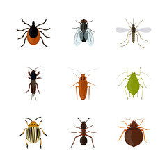 Set of various insects isolated on white background - obrazy, fototapety, plakaty