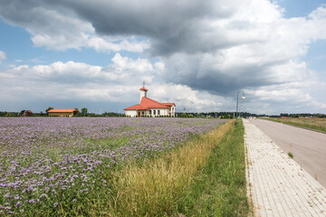 Fototapety na wymiar - Fototapeta24.pl