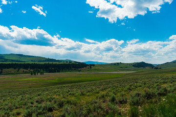 Fototapeta premium Lamar Valley, Yellowstone National Park