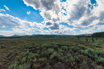 Yellowstone National Park Landscape with Mountains